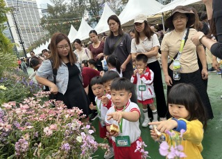 我見到花叢入面有小蜜蜂同小蝴蝶採花蜜呀