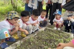 綠色小農夫 Little Green Farmers